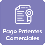 Pago Patentes Comerciales
