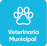 Veterinaria Municipal