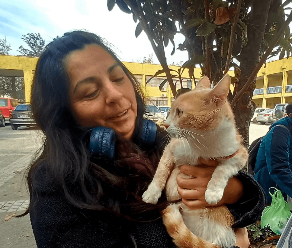 Más de 1.200 mascotas han sido esterilizadas gratuitamente en La Cisterna