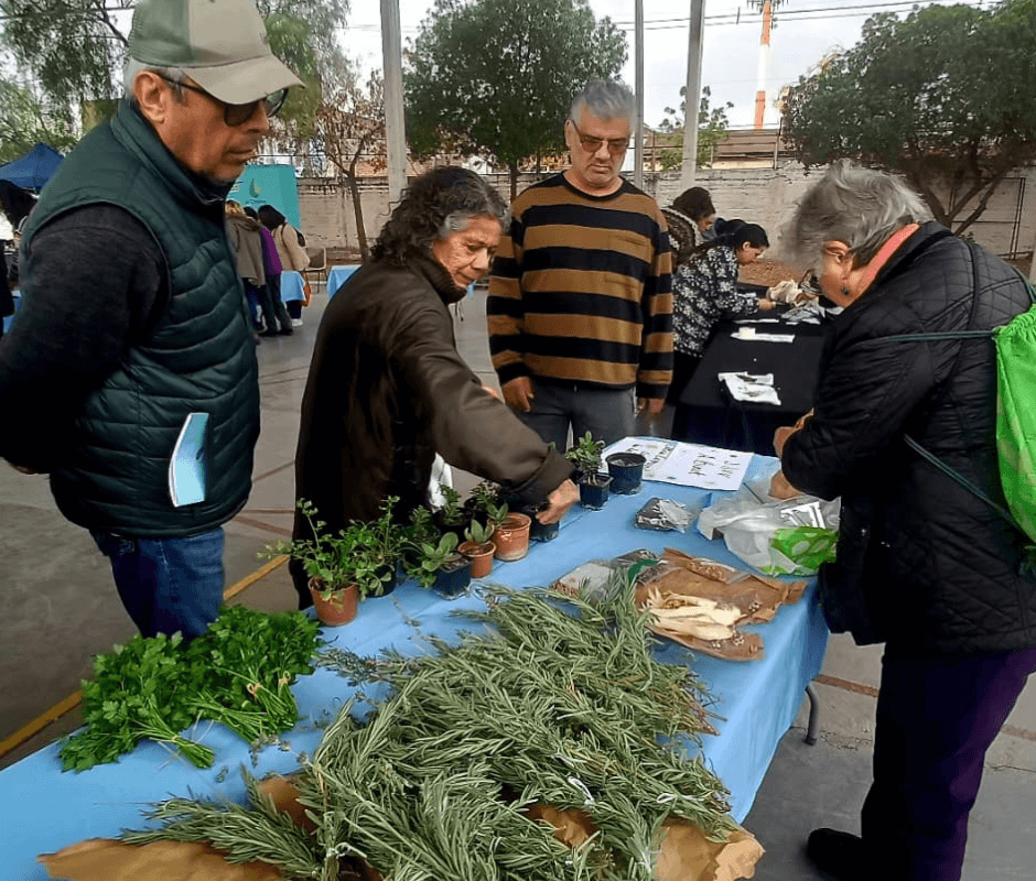 Sustentabilidad y vida comunitaria marcaron exitosa jornada de Intercambio de Semillas y Saberes