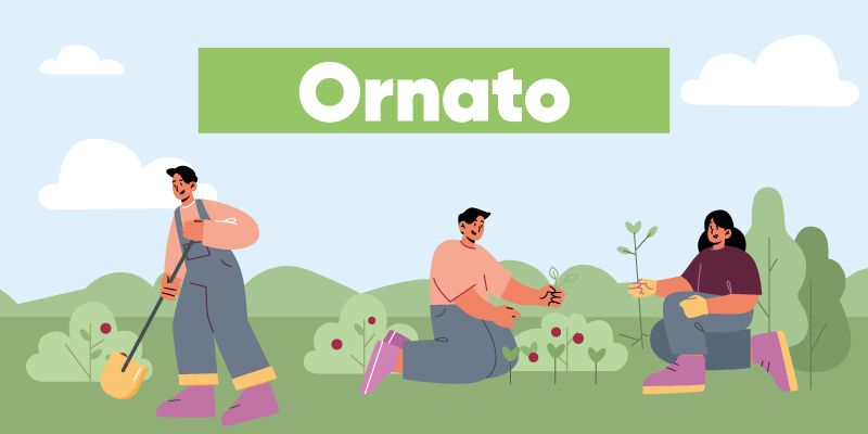 Ornato, podas, talas y arborización